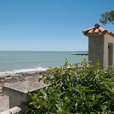 Sargantana Blava Villa Sant Carles De La Rapita Luaran gambar