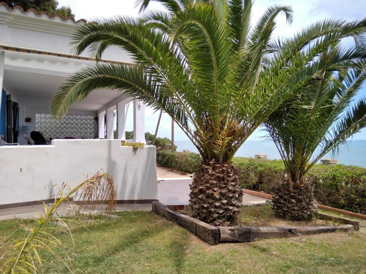 Sargantana Blava Villa Sant Carles De La Rapita Luaran gambar