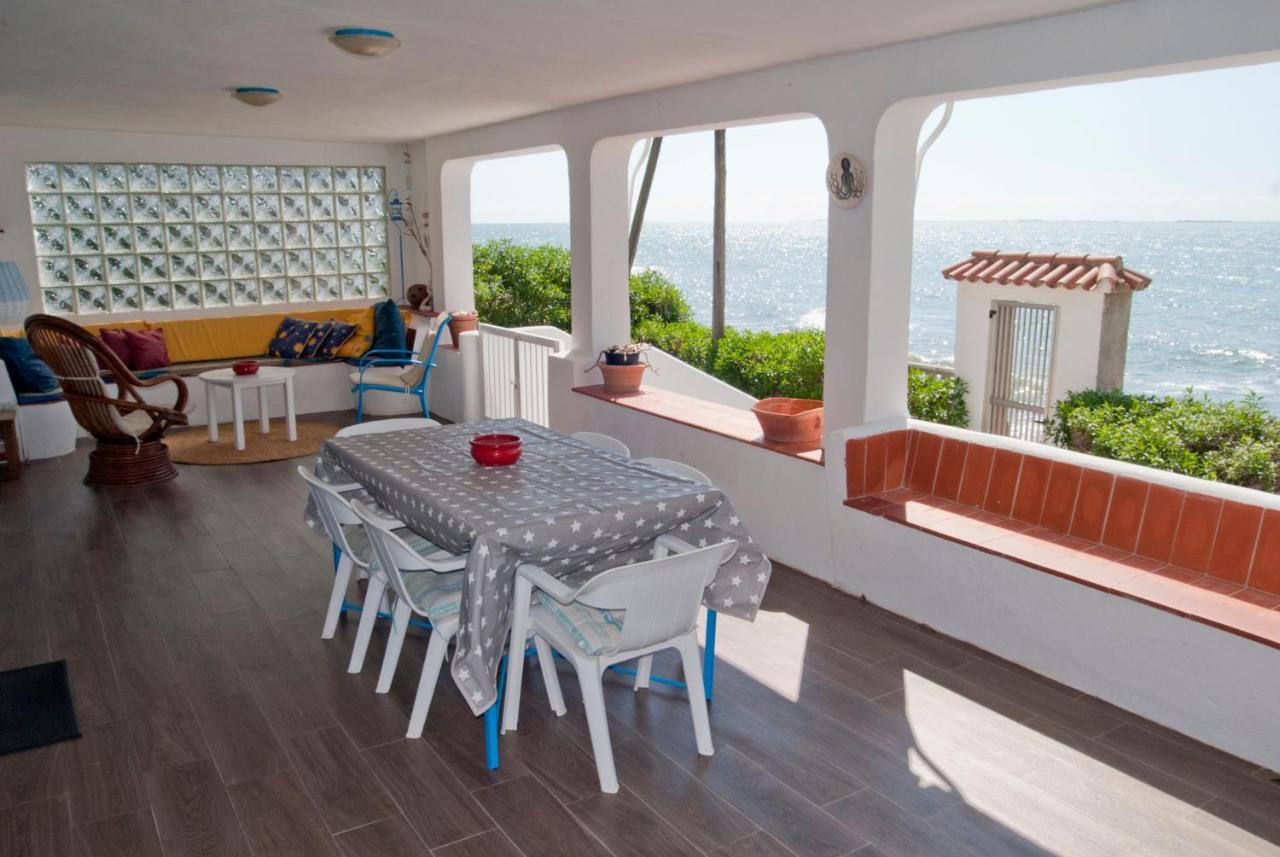 Sargantana Blava Villa Sant Carles De La Rapita Luaran gambar
