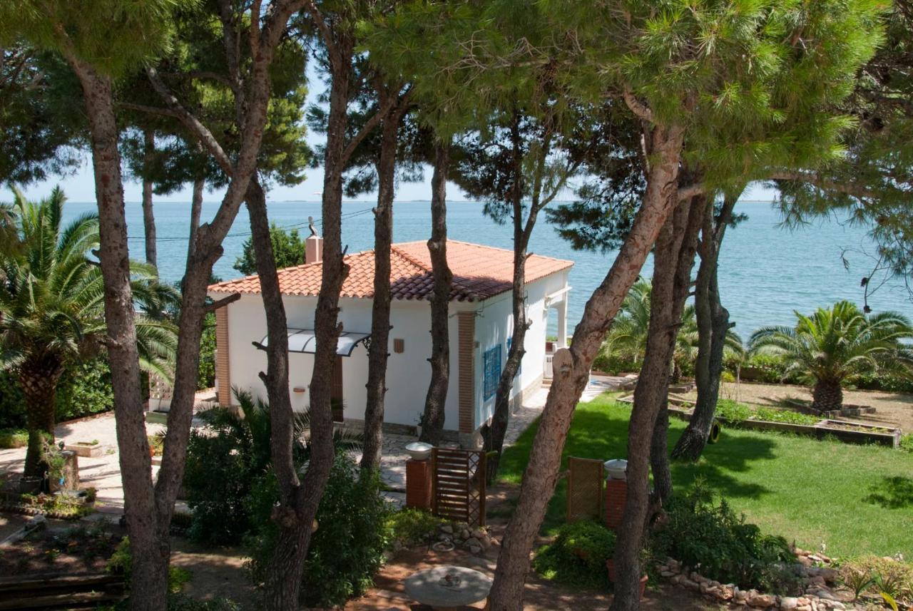 Sargantana Blava Villa Sant Carles De La Rapita Luaran gambar