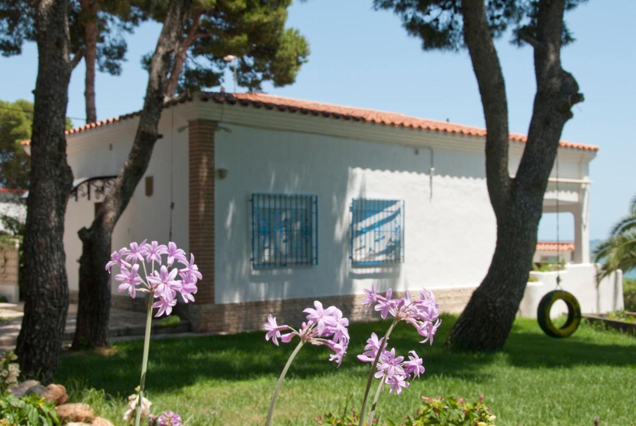 Sargantana Blava Villa Sant Carles De La Rapita Luaran gambar