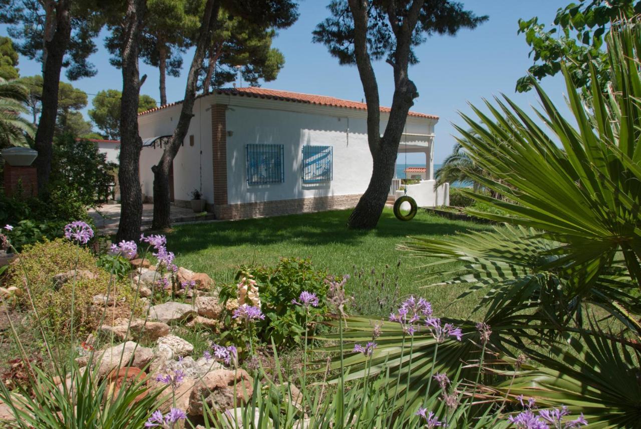 Sargantana Blava Villa Sant Carles De La Rapita Luaran gambar