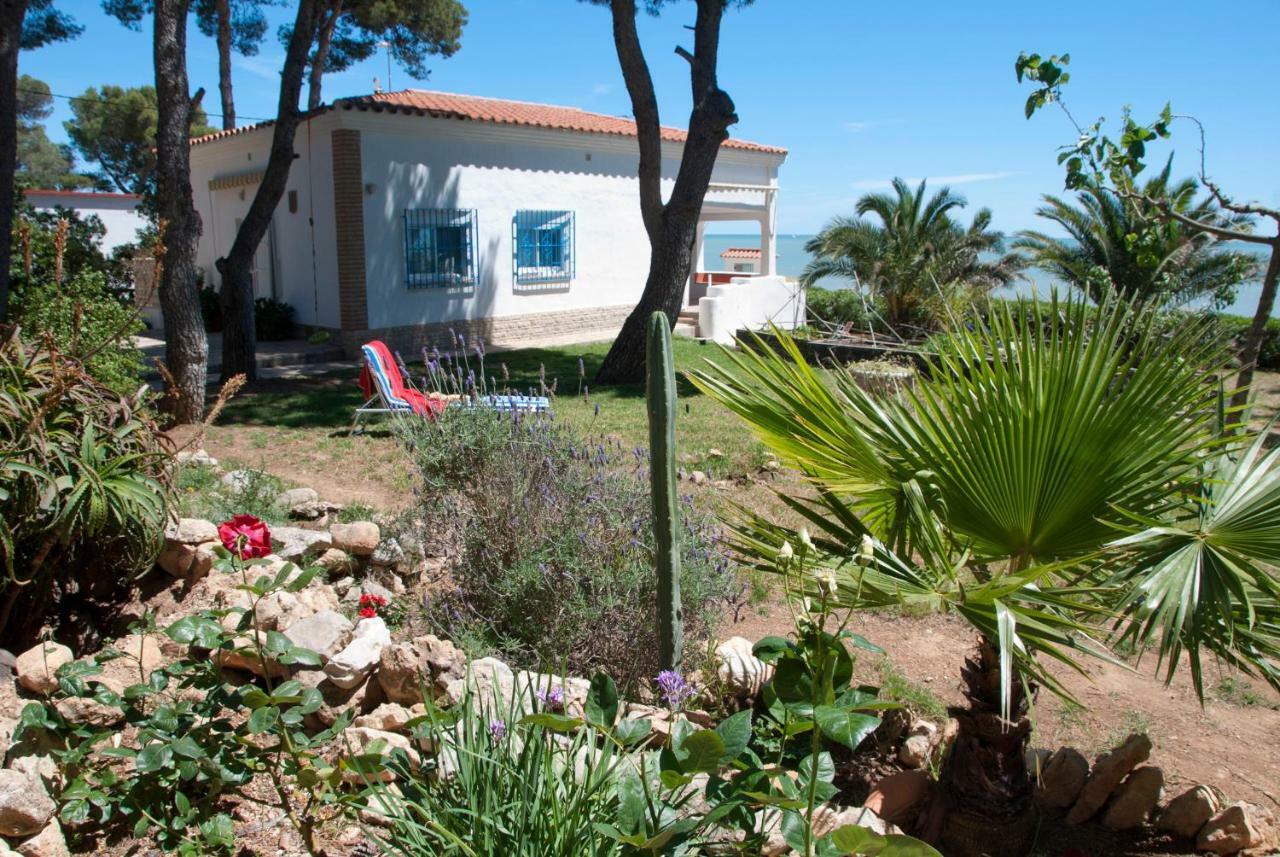 Sargantana Blava Villa Sant Carles De La Rapita Luaran gambar